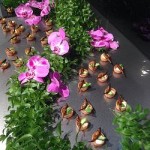 dbb1ca_8cc56b76035348aea18743b7b97e53e3.jpg_srz_250_279_75_22_0.50_1.20_0.00_jpg_srz